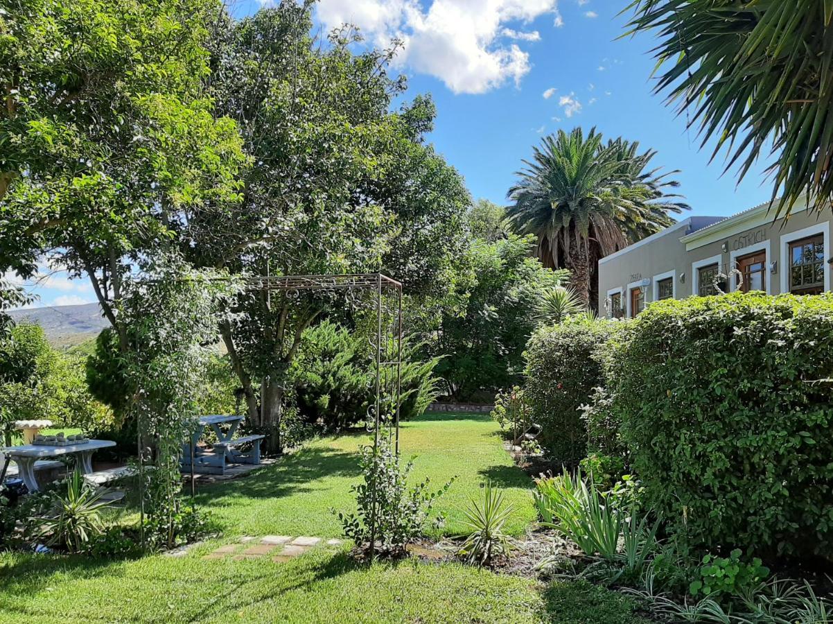 Karoo Life B&B Calitzdorp Exterior foto