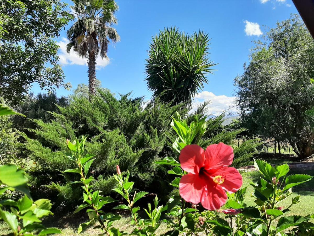 Karoo Life B&B Calitzdorp Exterior foto